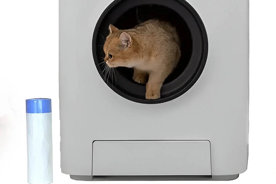 litter box for two cats